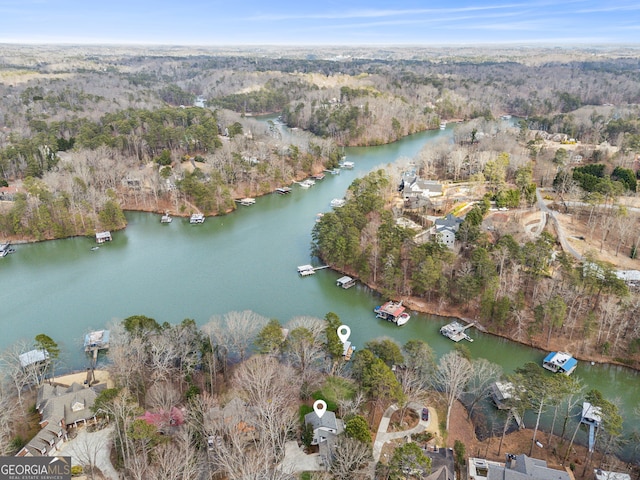 bird's eye view featuring a water view and a forest view