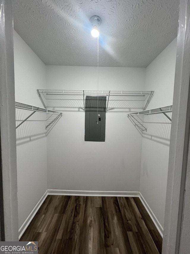 walk in closet with electric panel and wood finished floors
