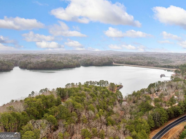 property view of water with a forest view