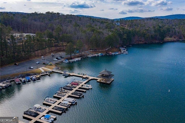 drone / aerial view with a water and mountain view and a view of trees