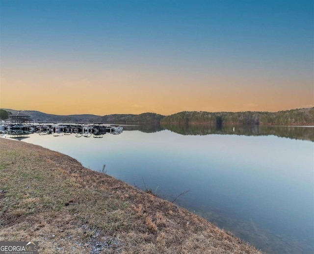 property view of water featuring a mountain view