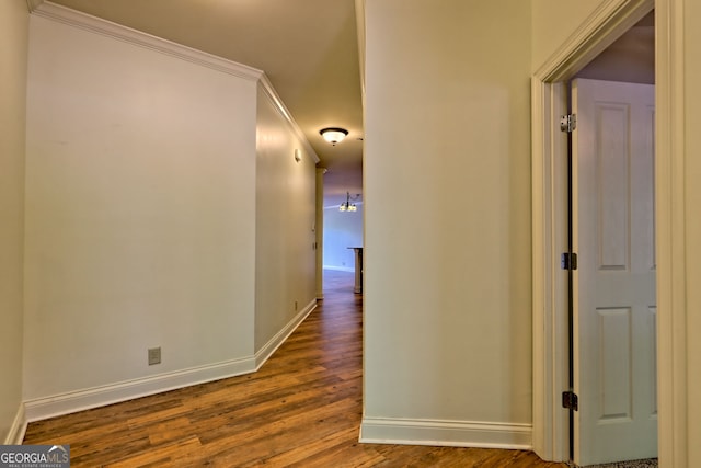 116 Smoky Mountain Ln Unit 103, Clayton, GA 30525 - corridor featuring wood finished floors and ornamental molding