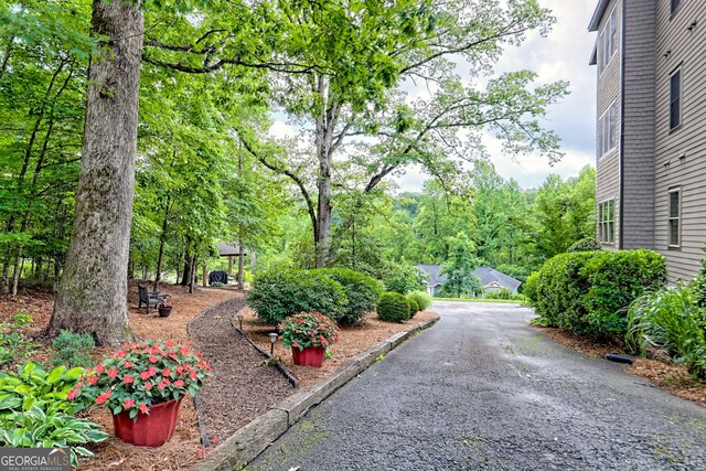 116 Smoky Mountain Ln Unit 103, Clayton, GA 30525 - view of yard