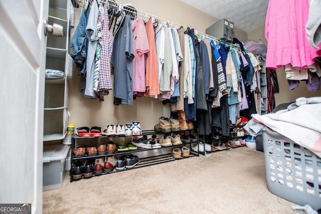 spacious closet with carpet floors