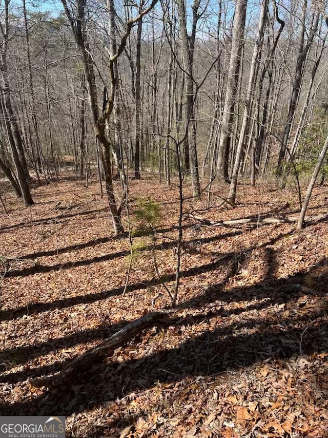 00 Timberland Trl, Franklin NC, 28734 land for sale