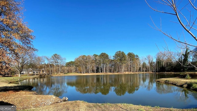 water view featuring a wooded view