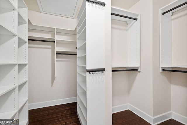 spacious closet featuring dark wood-style floors