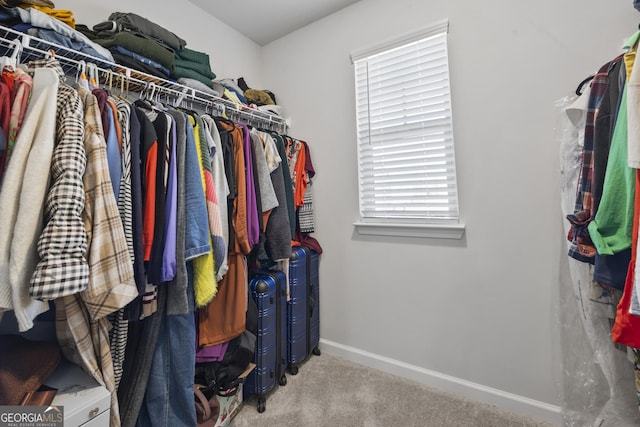 spacious closet featuring carpet