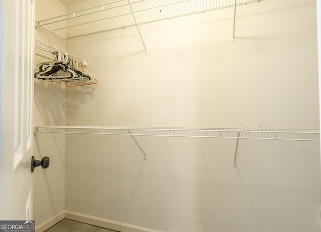 view of spacious closet