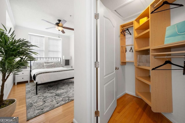 bedroom featuring attic access and wood finished floors