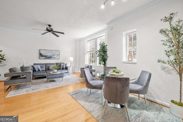 dining space featuring crown molding, ceiling fan, a textured ceiling, wood finished floors, and baseboards