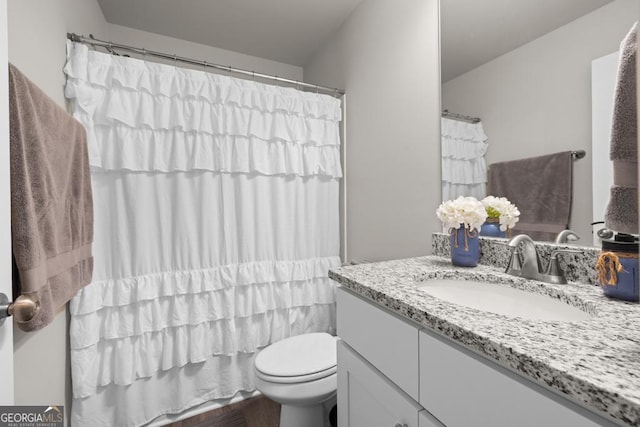 bathroom with toilet and vanity