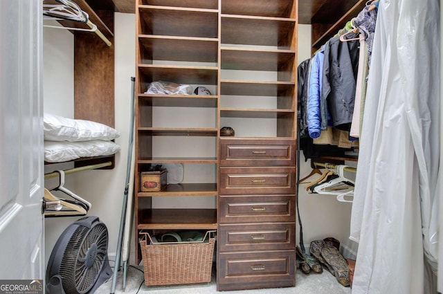 view of spacious closet