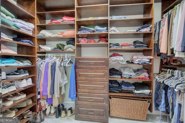 view of spacious closet