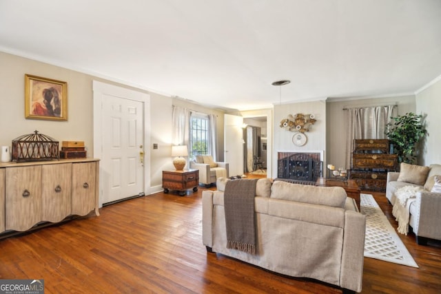 living room with crown molding, dark wood-style flooring, and a fireplace