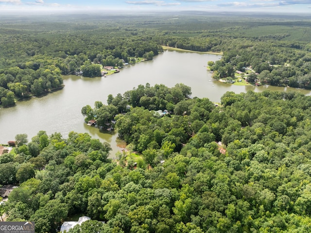 bird's eye view featuring a water view and a wooded view