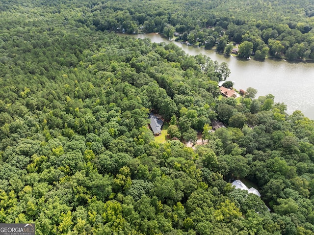 bird's eye view with a water view and a forest view