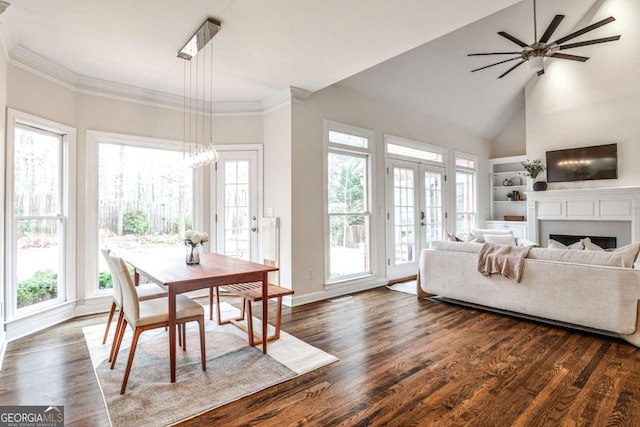 interior space with built in shelves, french doors, a healthy amount of sunlight, and a fireplace