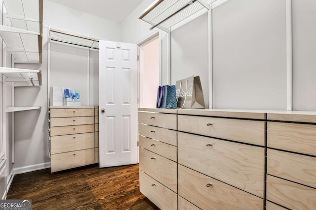 spacious closet featuring dark wood finished floors