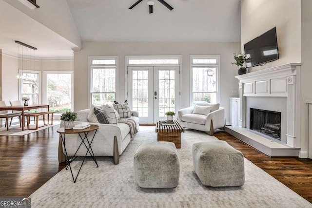 living room with a ceiling fan, dark wood finished floors, french doors, and plenty of natural light