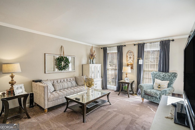 carpeted living room with crown molding