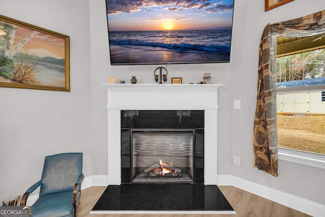 104 Eagle Heights Dr, Maysville, GA 30558 - details featuring a tiled fireplace, baseboards, and wood finished floors