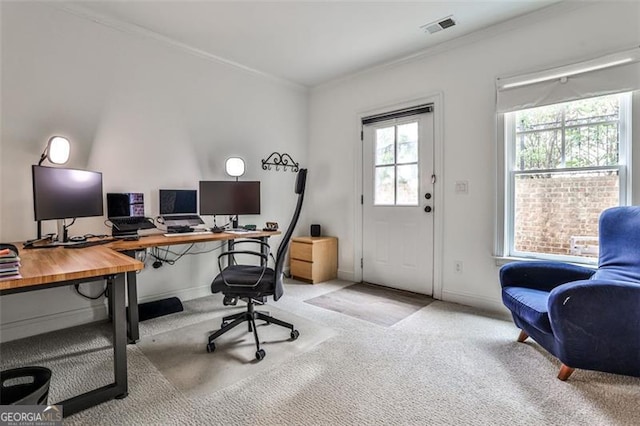 carpeted office space featuring visible vents, crown molding, and baseboards