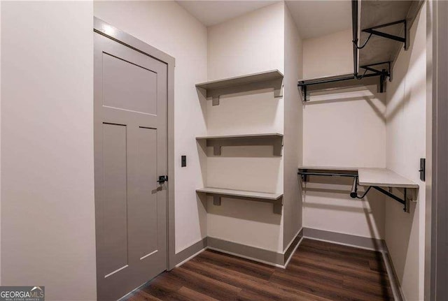 spacious closet featuring dark wood finished floors