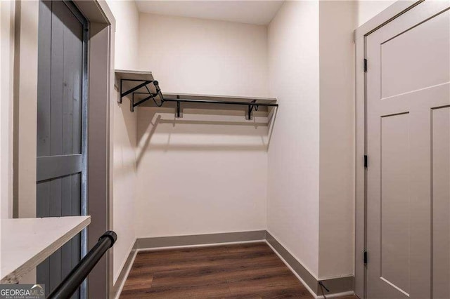 spacious closet featuring dark wood-style floors