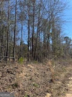 LOTS11 Shoals Rd, Sparta GA, 31087 land for sale