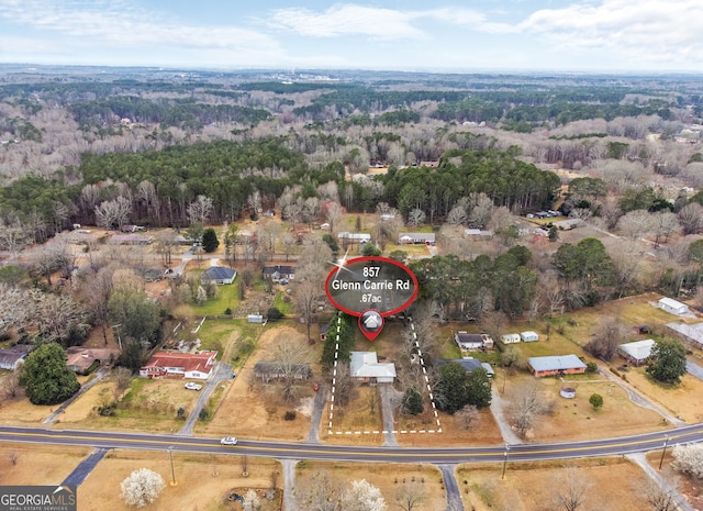 aerial view with a forest view