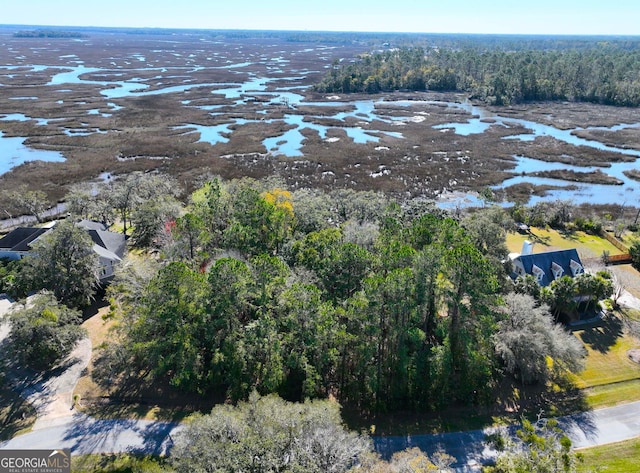 0 Bristol Hammock Cir, Kingsland GA, 31548 land for sale