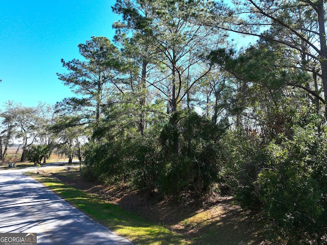 0 Bristol Hammock Cir, Kingsland, GA 31548