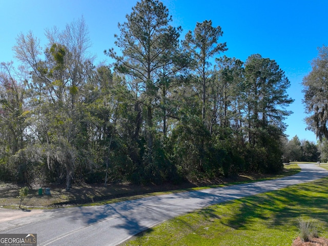 0 Bristol Hammock Cir, Kingsland, GA 31548