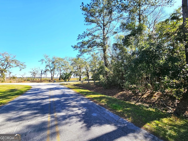 Listing photo 3 for 0 Bristol Hammock Cir, Kingsland GA 31548