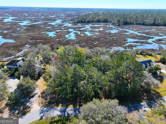 0 Bristol Hammock Cir, Kingsland, GA 31548