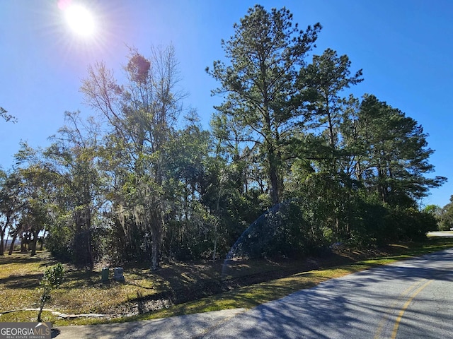 0 Bristol Hammock Cir, Kingsland, GA 31548