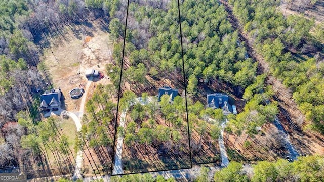 1312 Mcgarity Rd, Temple, GA 30179 - aerial view of property and surrounding area with property boundaries highlighted