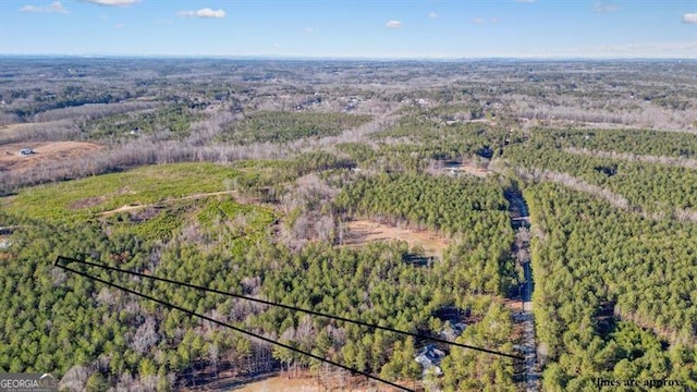 1312 Mcgarity Rd, Temple, GA 30179 - aerial view of property's location featuring a forest and property boundaries highlighted