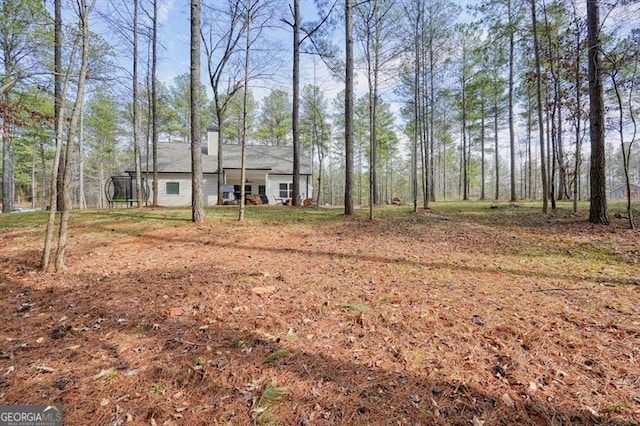 1312 Mcgarity Rd, Temple, GA 30179 - view of yard