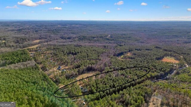 1312 Mcgarity Rd, Temple, GA 30179 - view of property location featuring a heavily wooded area and property boundaries highlighted