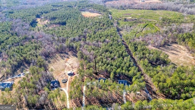 1312 Mcgarity Rd, Temple, GA 30179 - aerial overview of property's location with a forest