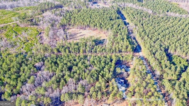 1312 Mcgarity Rd, Temple, GA 30179 - bird's eye view