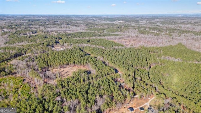 1312 Mcgarity Rd, Temple, GA 30179 - aerial overview of property's location featuring a forest