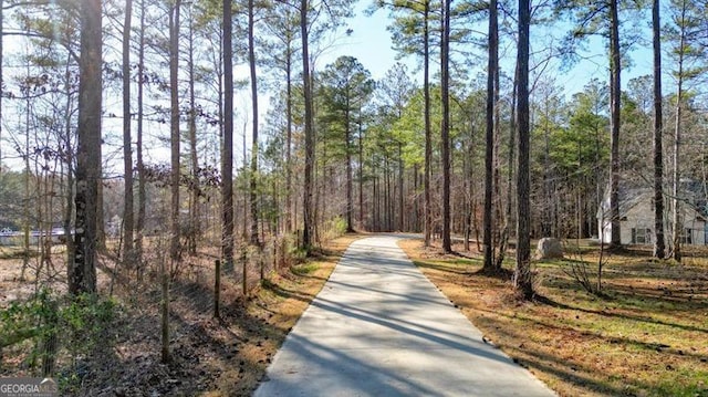 1312 Mcgarity Rd, Temple, GA 30179 - view of home's community featuring a wooded view and concrete driveway