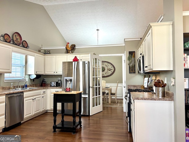 kitchen featuring dark wood-style flooring, vaulted ceiling, a textured ceiling, stainless steel appliances, and a sink