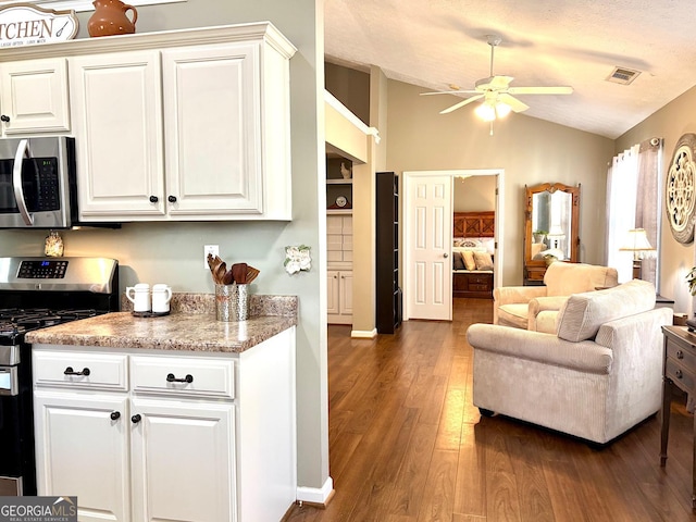 kitchen with a ceiling fan, lofted ceiling, appliances with stainless steel finishes, open floor plan, and wood finished floors