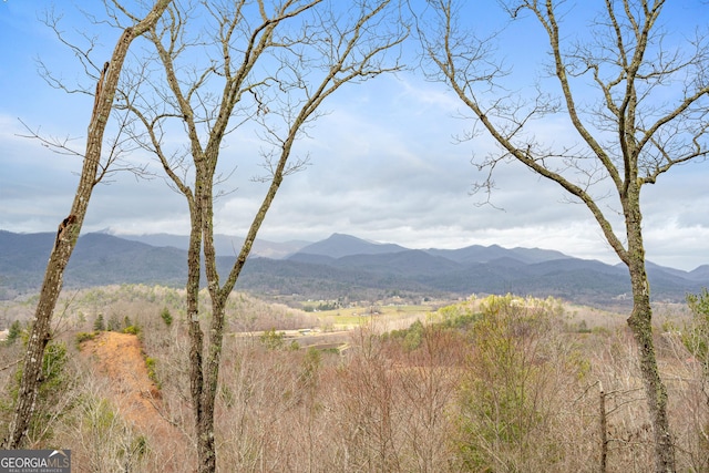 property view of mountains