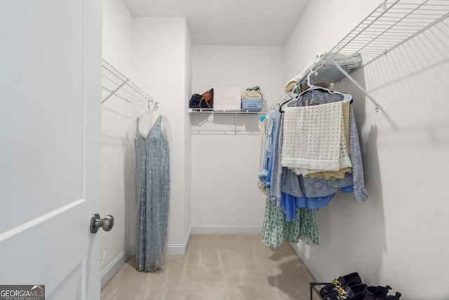 walk in closet featuring carpet flooring