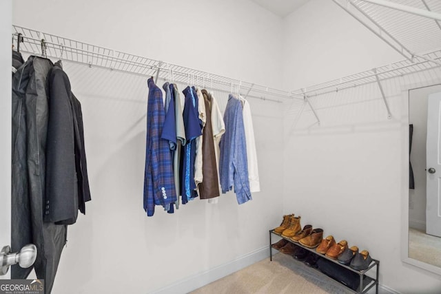 walk in closet with carpet